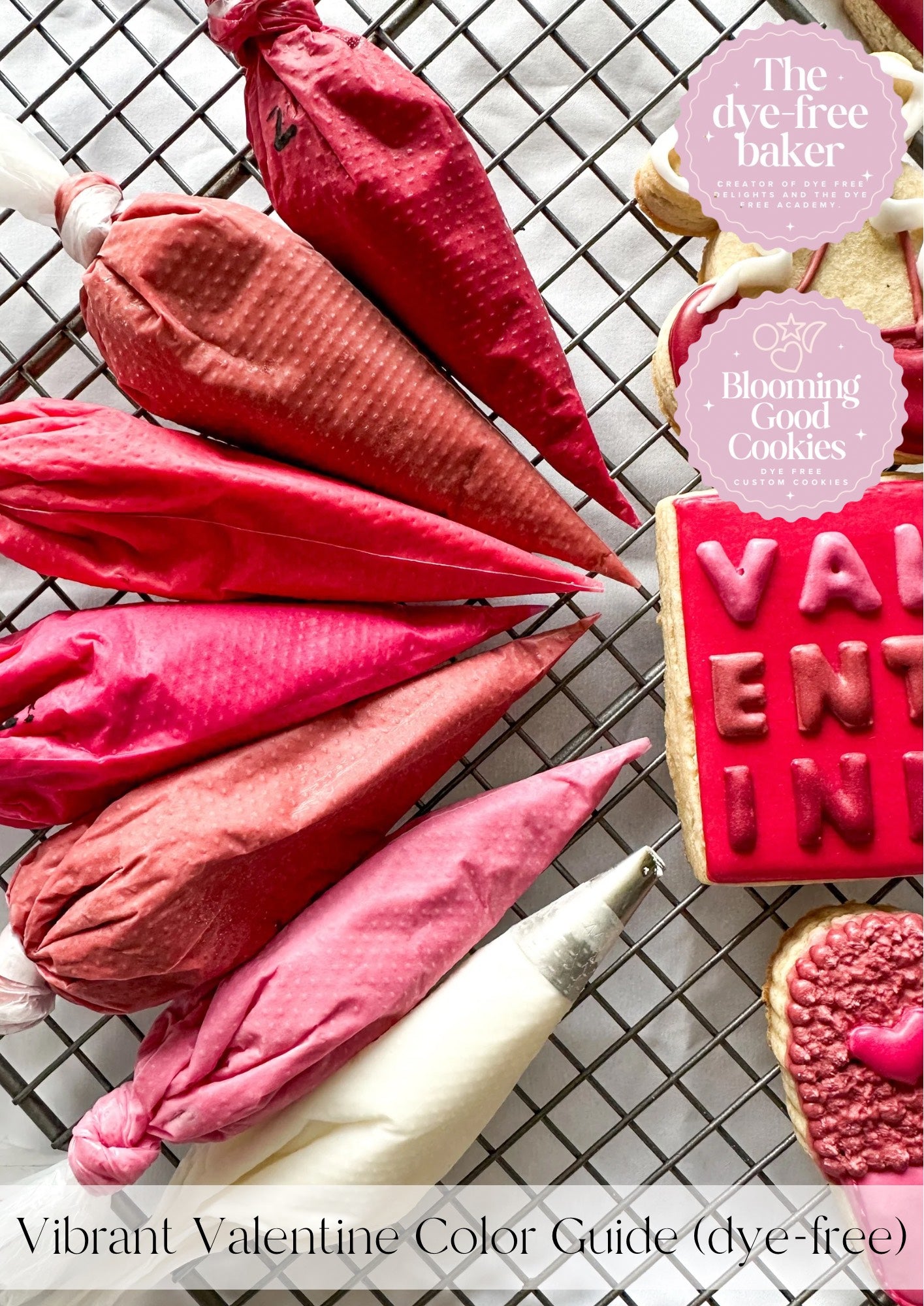 Vibrant Valentine Color Guide ONLY