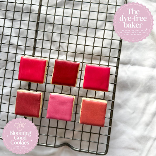 Vibrant Valentine Color Guide ONLY